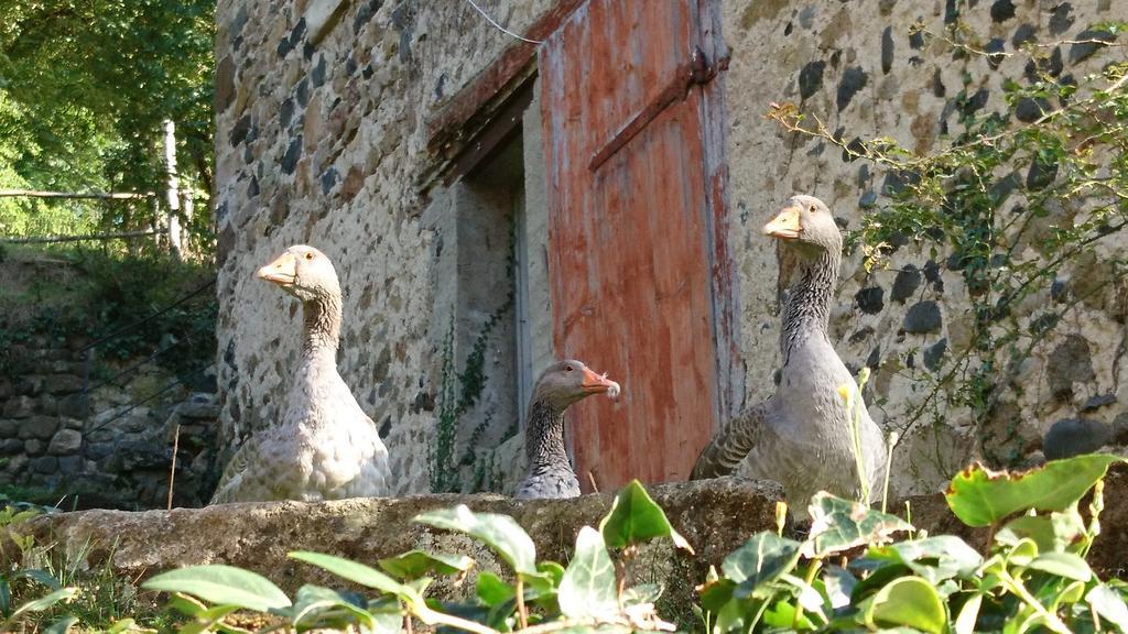 Le Monteil  Chateau De Durianne מראה חיצוני תמונה